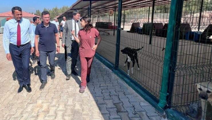 Kaş Belediyesi, evcil dostlarımızı unutmuyor