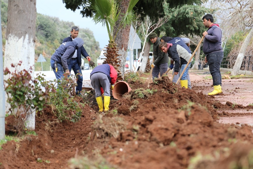 Kaş Belediyesinden peyzaj çalışması 