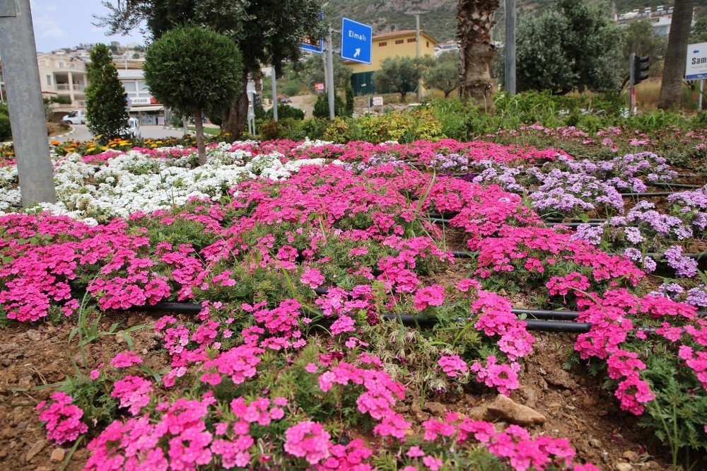 Kaş caddeleri çiçek bahçesine dönüyor 