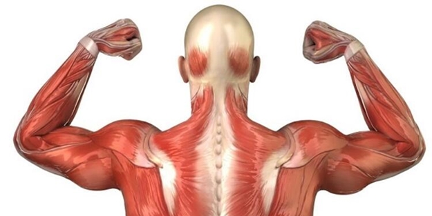 Kas yapan inanılmaz 19 besin!