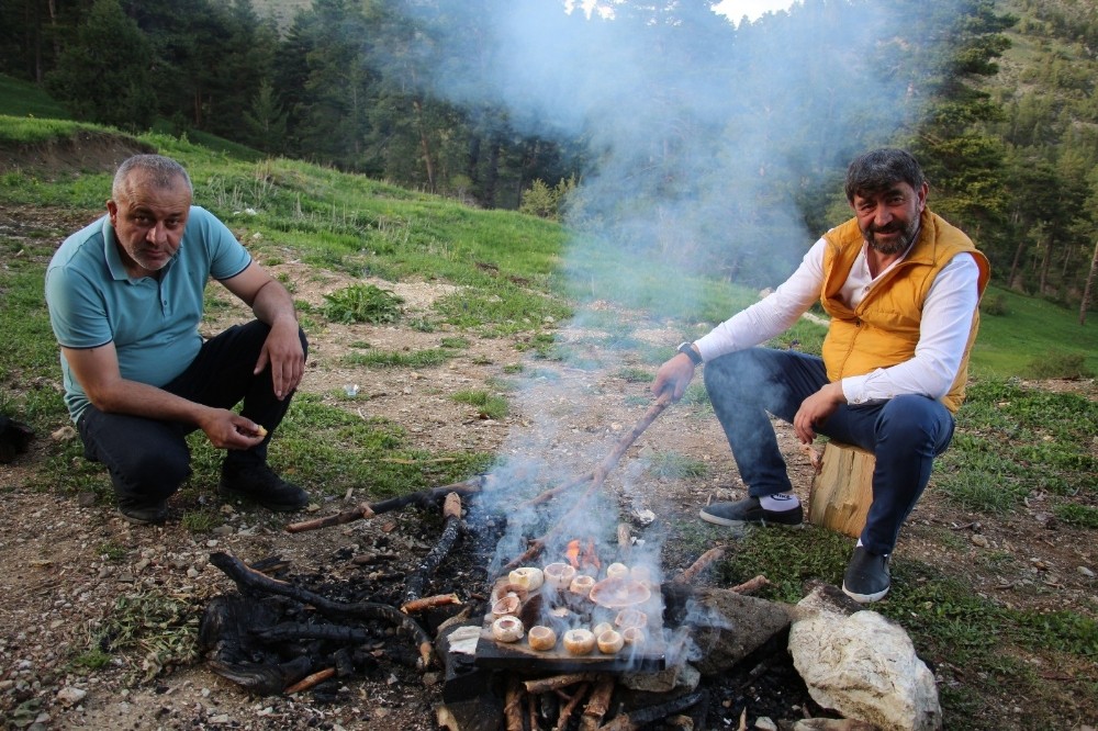 Kasa kasa mantar topladılar 