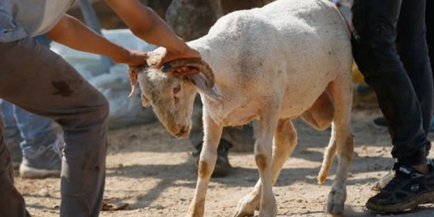 Kasap, elindeki bıçağın üzerine düşerek öldü