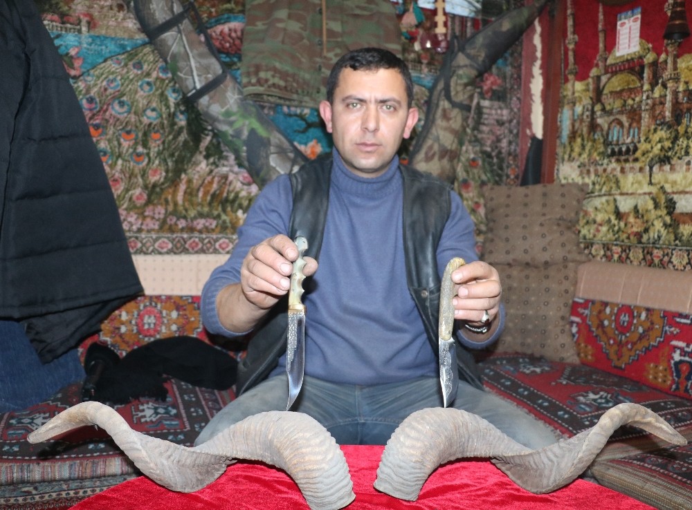Kasaplardan toplanan boynuzlar, bıçak sapına dönüşüyor 