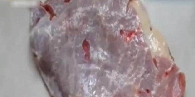 Kasaptan aldığı et canlandı!