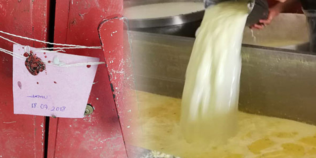 Kaşar peyniri diye bakın neleri yedirmişler! Mide bulandıran görüntüler