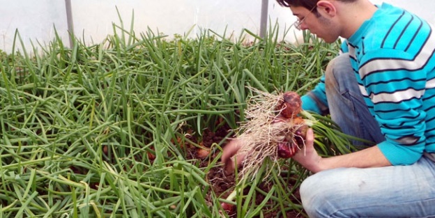 Kasım ayının zam şampiyonu oldu!