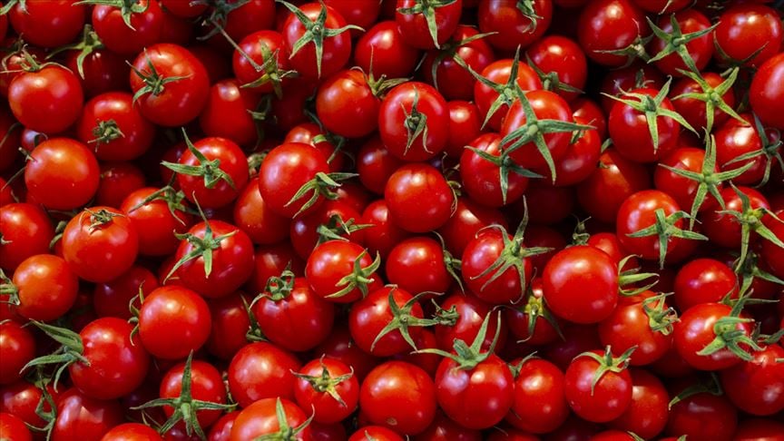 Kasımda en fazla domatesin fiyatı yükseldi