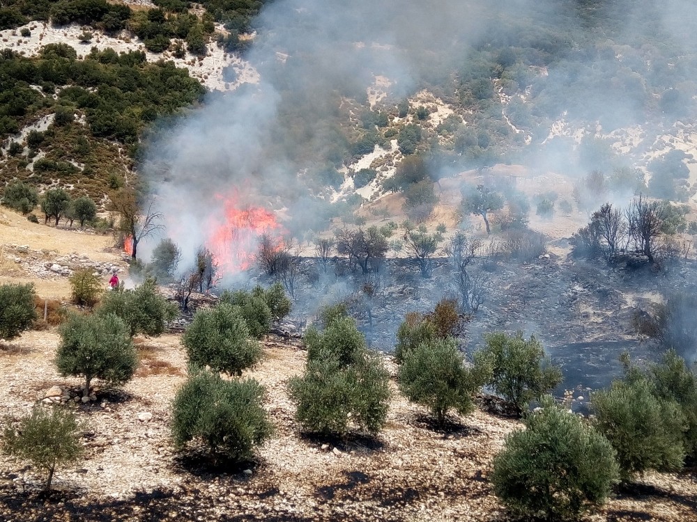 Kaş’ta çıkan orman yangını büyümeden söndürüldü 