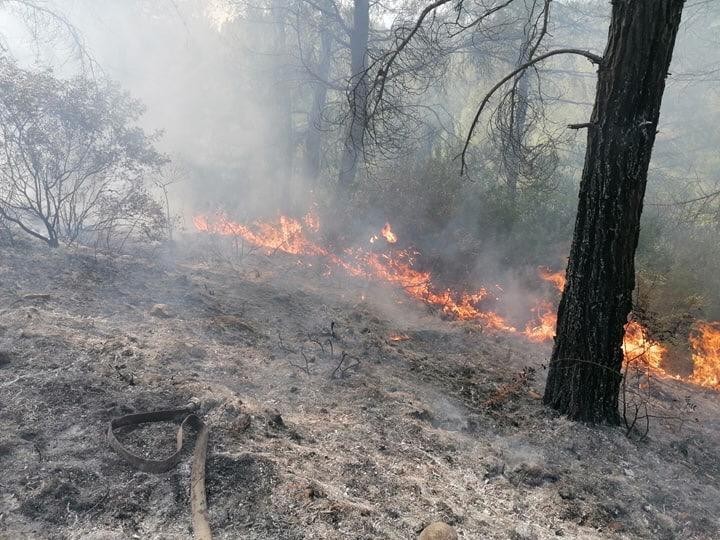Kaş’ta orman yangını 