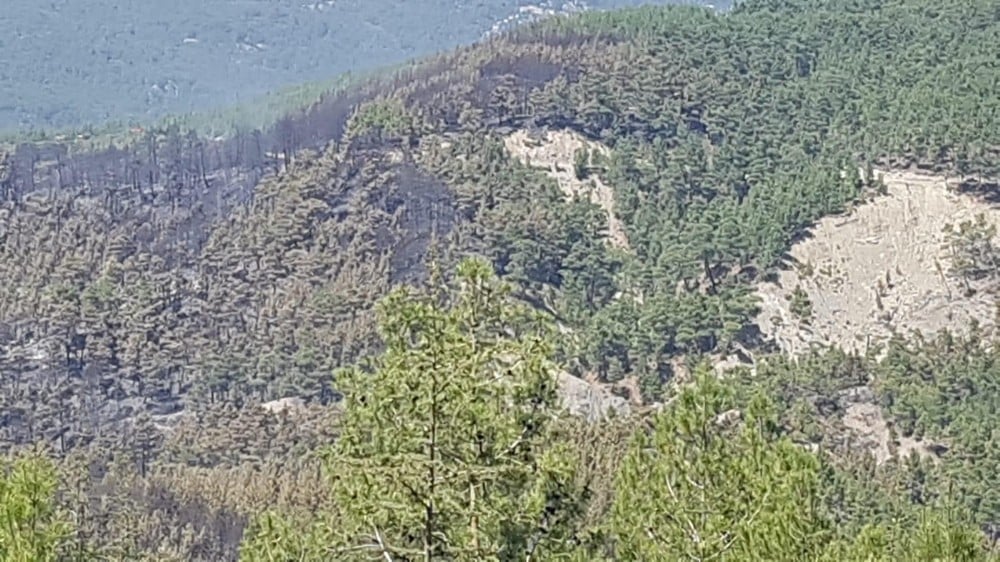 Kaş’ta orman yangını söndürüldü 