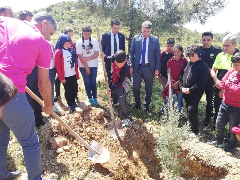 Kaş’ta Trafik Haftasında fidan dikildi 