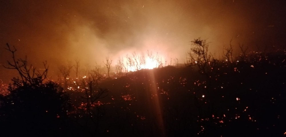 Kaş’ta zeytinlik ve makilik alan yangını 