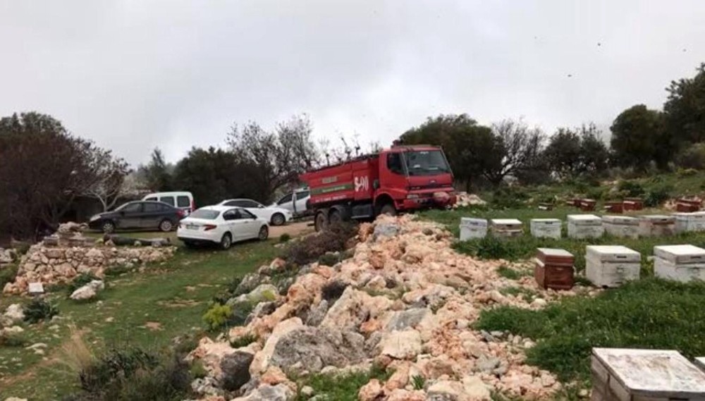 Kaş’taki yangın arı kovanlarını da vurdu 
