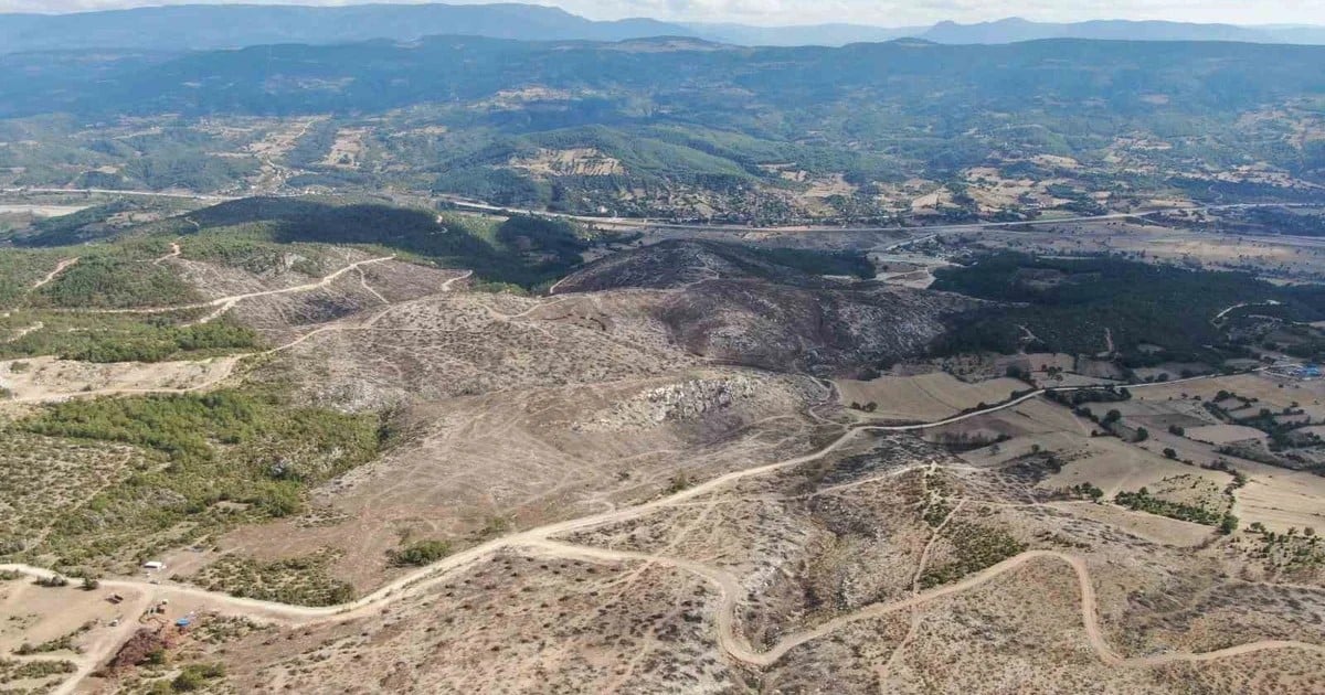 Kastamonu Araç'ta yanan ormanın bu yıl temizlenip dikime hazırlanması hedefleniyor
