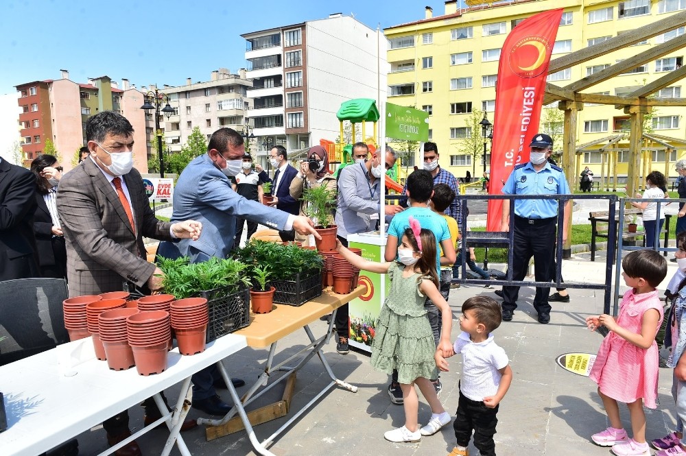 Kastamonu Belediyesi, çocuklara 15 bin çiçek fidesi dağıttı 