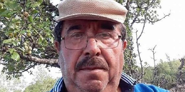 Kastamonu'da ağaçtan düşen vatandaş hayatını kaybetti