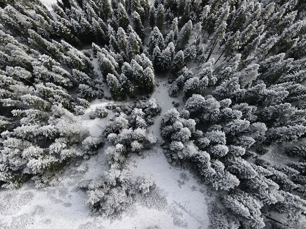 Kastamonu’da görsel şölen