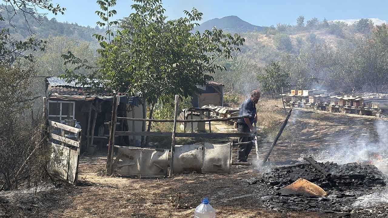 Kastamonu'da korkutan yangın! Bağ evlerini teğet geçen alevler mahalleliyi sokağa döktü!