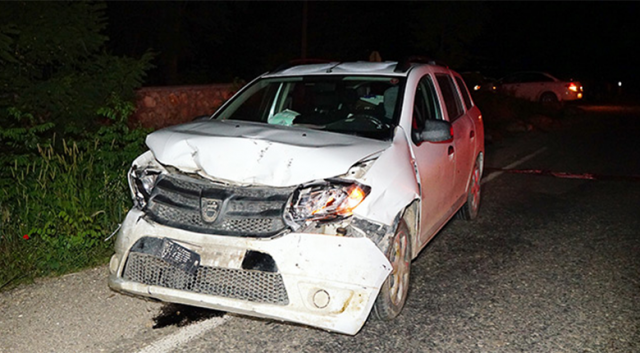 Kastamonu’da koyun sürüsünü otomobil çarptı: 22 koyun telef oldu