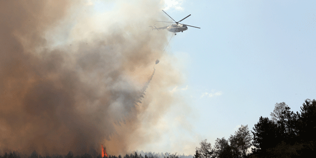 Kastamonu'da orman yangını