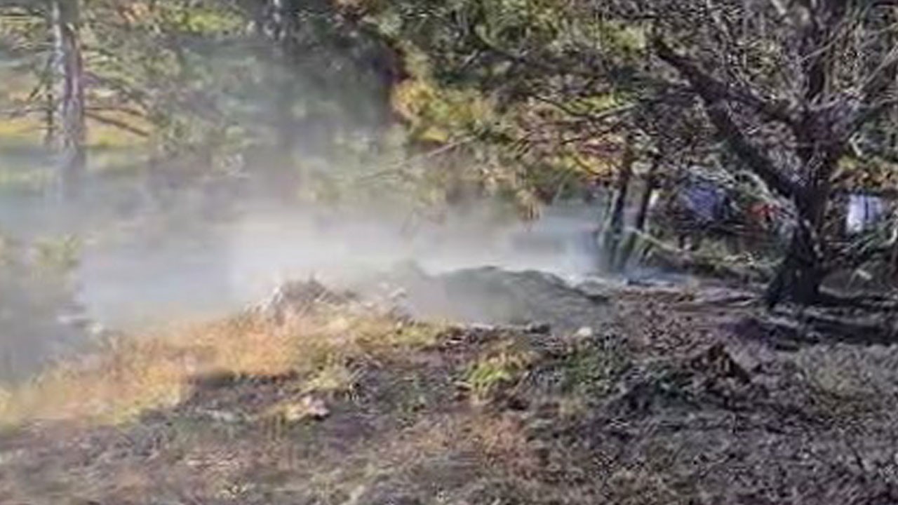 Kastamonu’da orman yangını paniği!