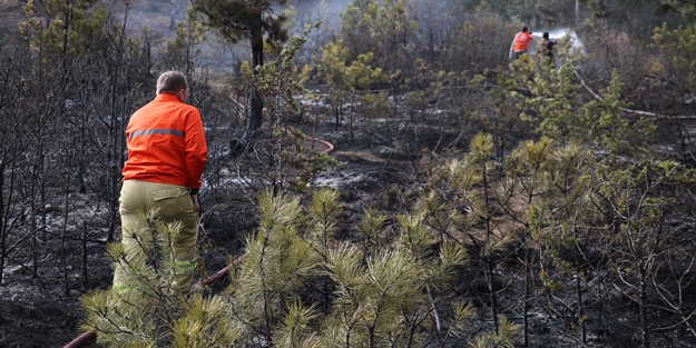 Kastamonu'da ormanlık alanda yangın