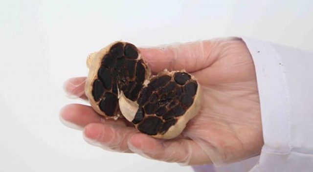 Kastamonu'da üretilen siyah sarımsak ihraç edilecek