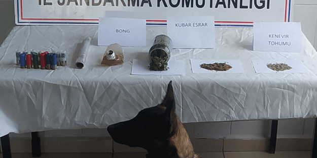 Kastamonu'da zehir tacirlerine baskın