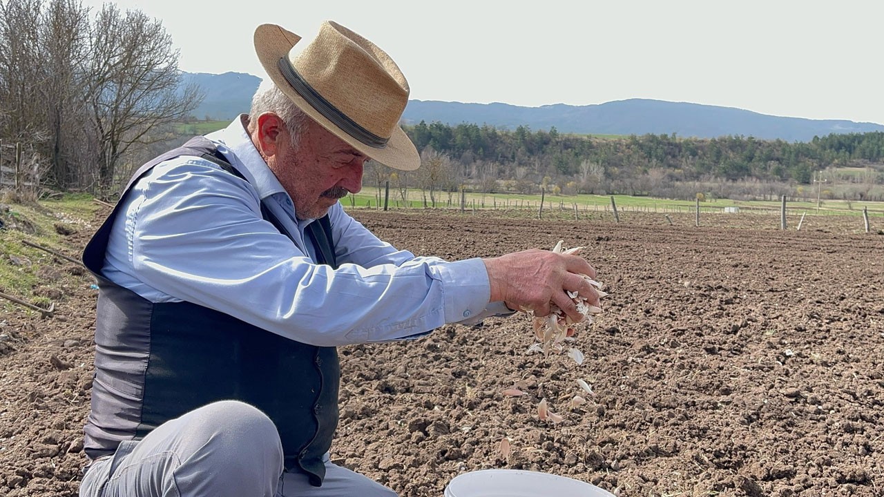 Kastamonulu çiftçi gençlere taş çıkartıyor!