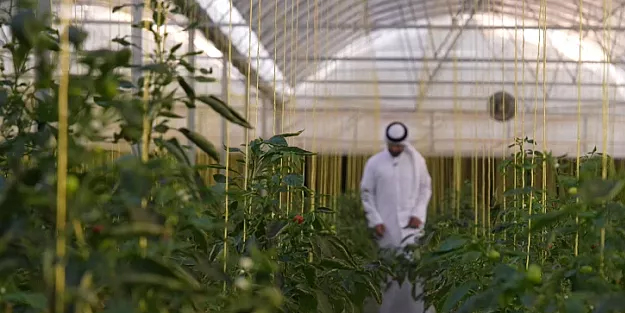 Katar! Made in Katar'ın en çok tercih edilen ihracat haritası: İsteyenlere büyük, bomba fırsatlar sunuyor!