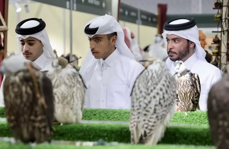 Katar'ın yeni adresi fuarcılık sektörü: S'hail düzenledi! Katar'dan başka bir ülkede çıkmamıştı! İşte o anlar