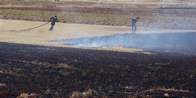 Halkı aç bırakmak için tarları yakıyor!