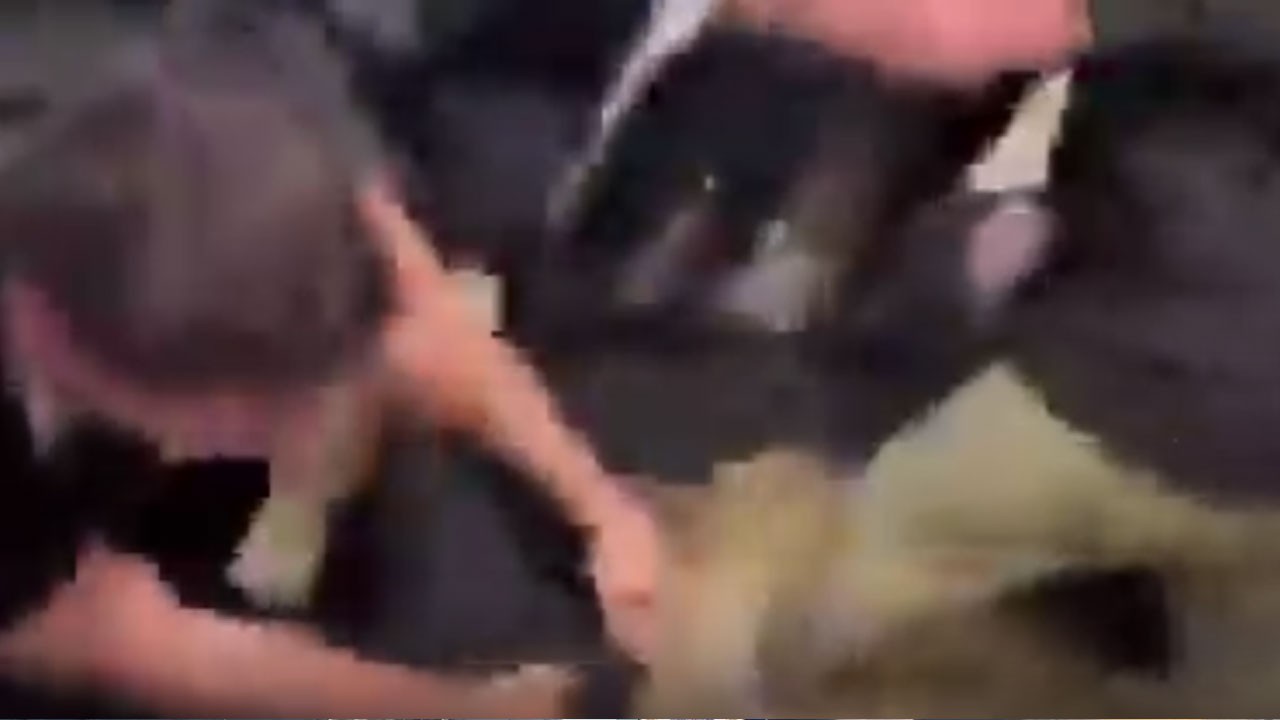 Katil Netanyahu’nun oğlunu böyle dövdüler