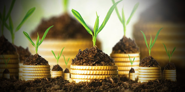 Katılım bankaları cazibe merkezi oldu