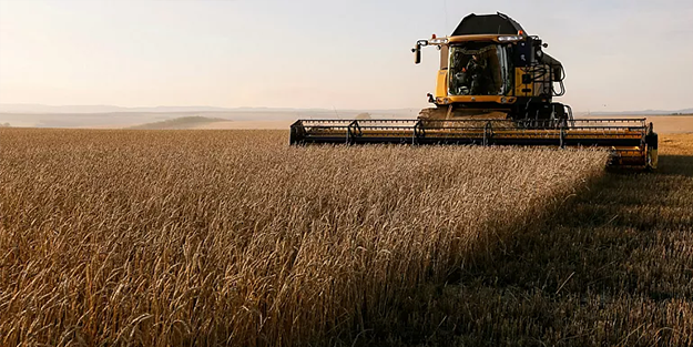 Kavga büyüyor! AB kuraklığın vurduğu tarıma çareyi GDO'da arıyor