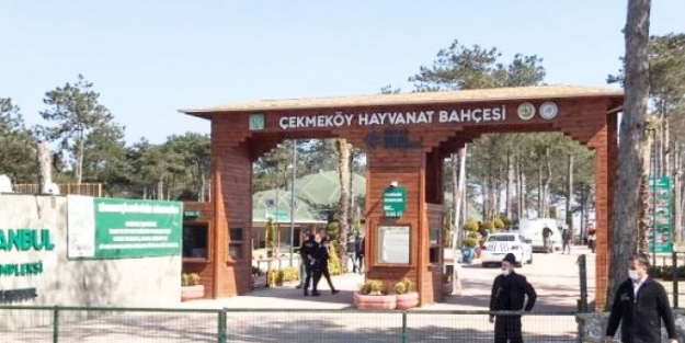 Kavgada silahlar patladı! 2 ölü 1 yaralı