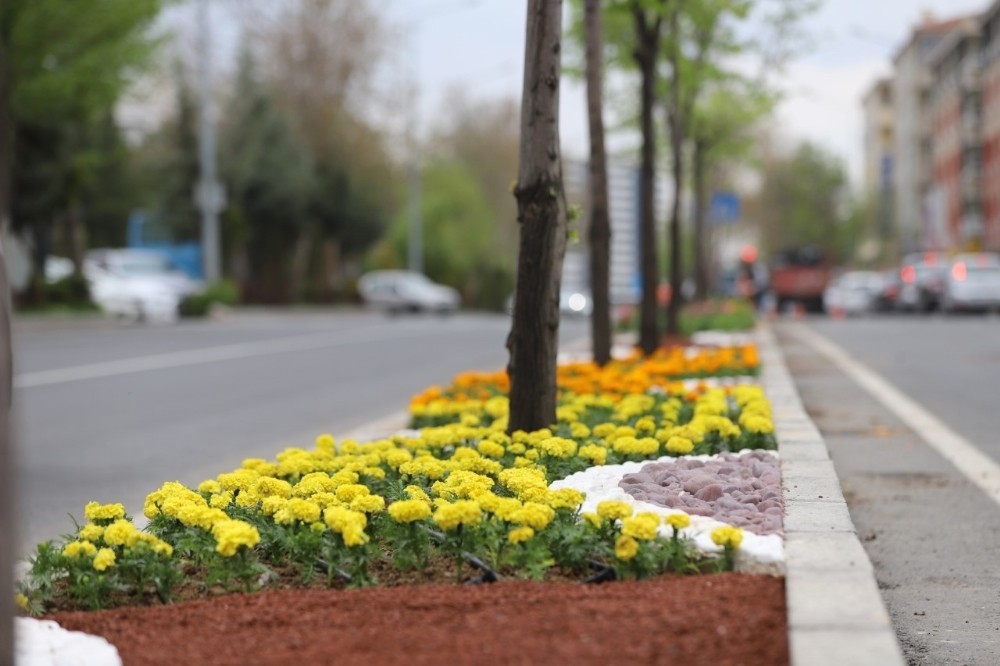 Kavşak ve refüjlerde bahar güzelliği 
