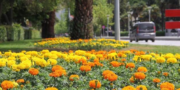 Kavşak ve refüjlere kadın eli değdi