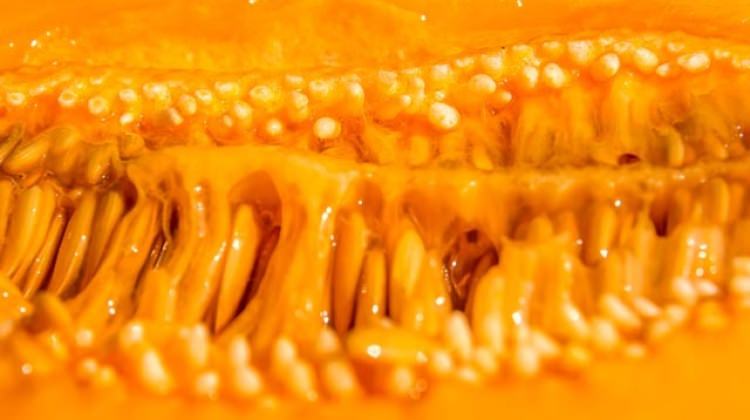 Kavun çekirdeği suyu faydaları