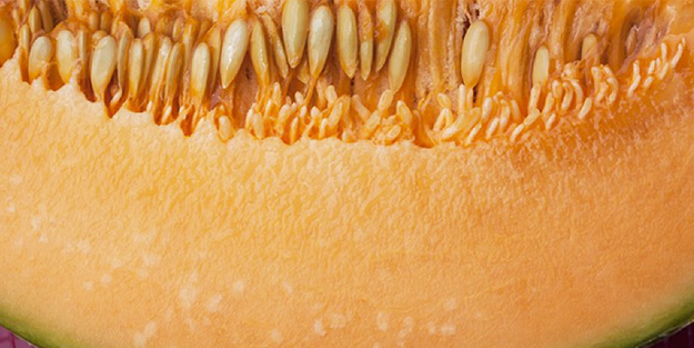 Kavun çekirdekleri Türkiye'yi zengin edebilir! Türk bilim insanı bomba çalışmasının sonucunu duyurdu