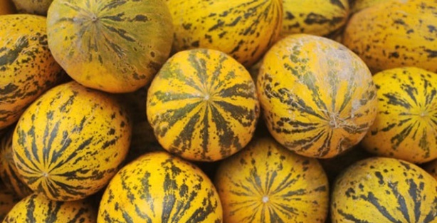 Kavunun muhteşem faydaları