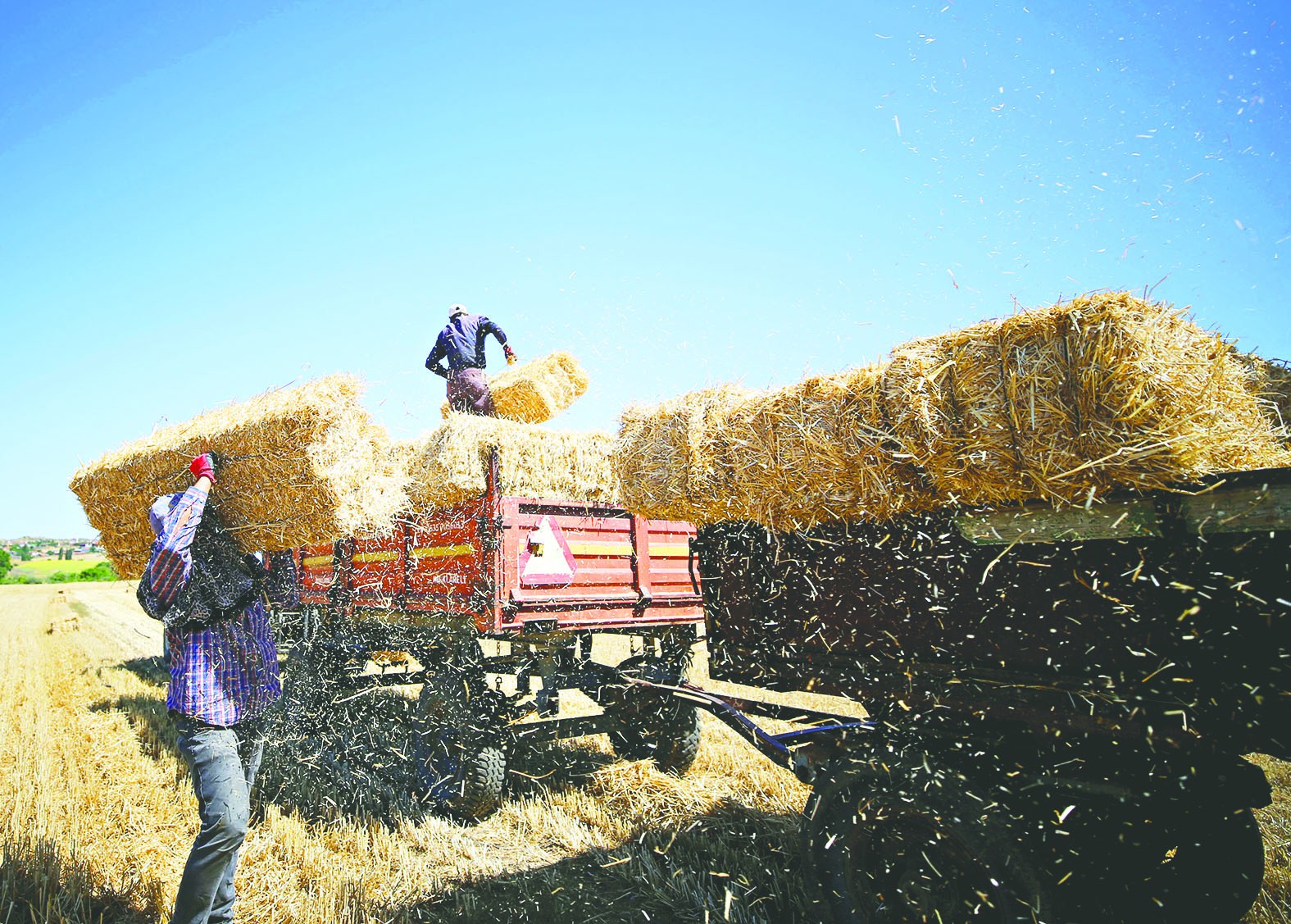 Kavurucu sıcakta balya topluyorlar