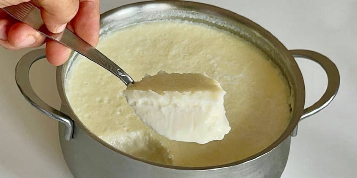 Kaya, yanında hafif kalır! Yoğurt öyle değil böyle mayalanır! İşte harika yöntem