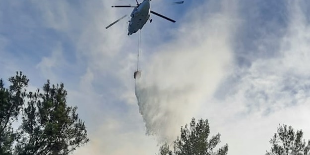 Kayalıklara çarpan araçta çıkan yangın, ormanlık alana sıçradı