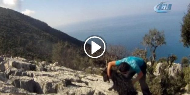 Kayalıklara sıkışan keçiyi doğa sporcusu kurtardı