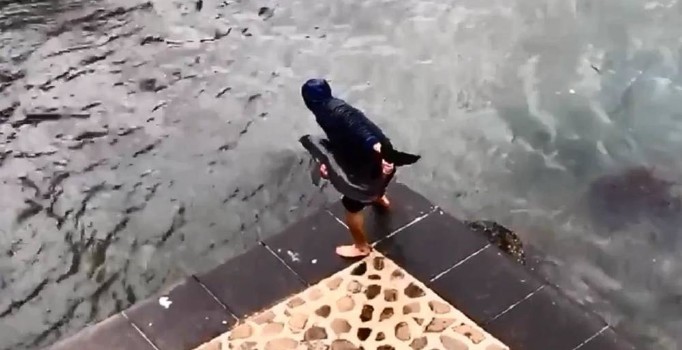 Kayalıklara sıkışan yavru yunusu balıkçılar kurtardı