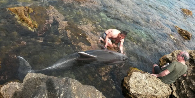 Yunusu Babalı Tuzağı'ndan kurtarma operasyonu