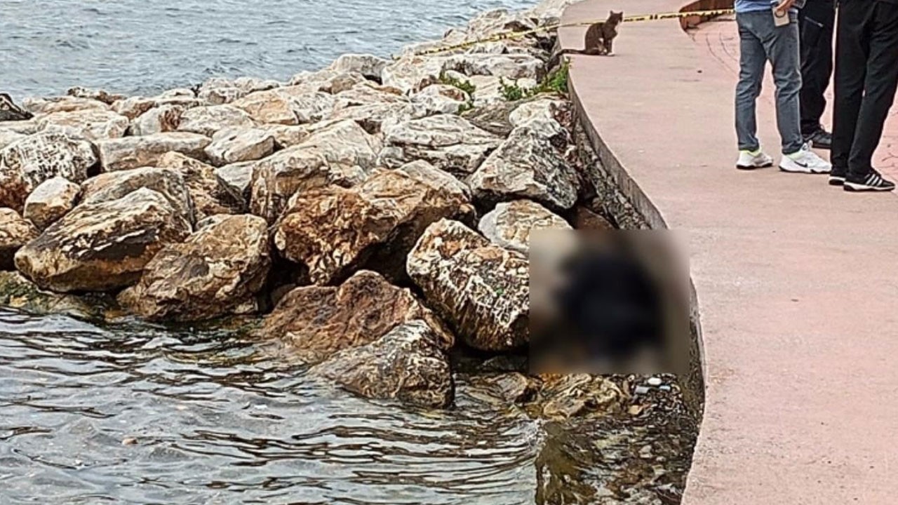 Kayalıklarda erkek cesedi bulundu