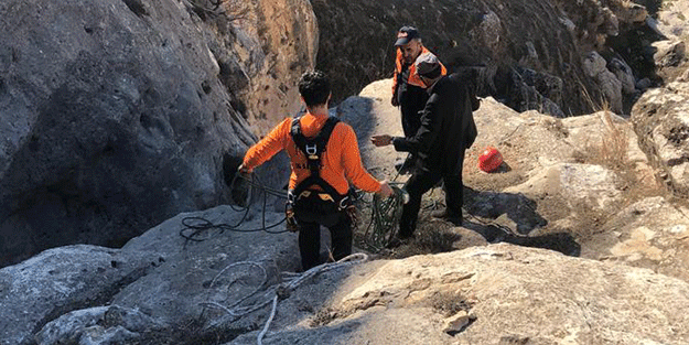 Kayalıklarda mahsur kalan 16 keçi kurtarıldı