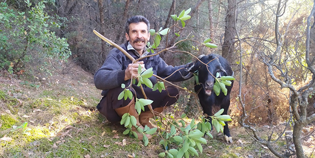 Kayalıklarda mahsur kalan keçi kurtarıldı